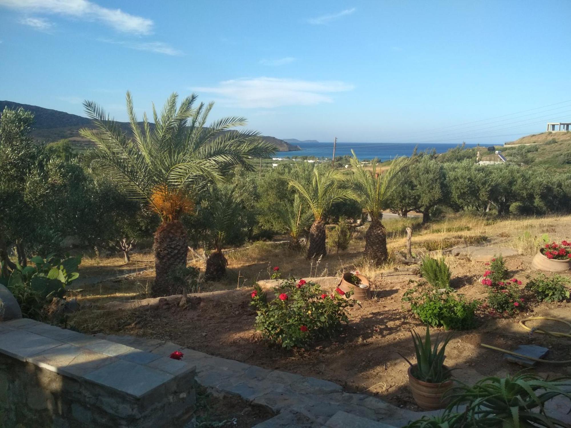 Porto Heli Apartments Palekastro Exterior photo